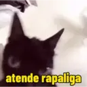 Figurinha