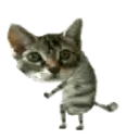 Samolepka