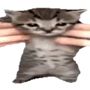 Samolepka