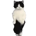 Samolepka