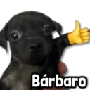 Figurinha