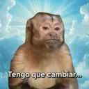 Figurinha