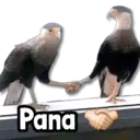 Figurinha