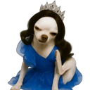 Adhesiu