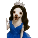 Adhesiu