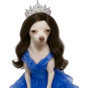 Adhesiu