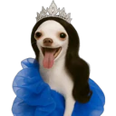 Adhesiu
