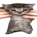 Samolepka