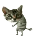 Samolepka