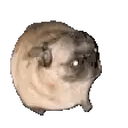 Samolepka