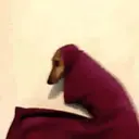 Figurinha