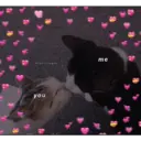 Límmiði