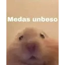 Límmiði