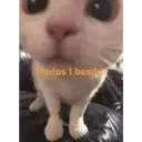 Límmiði