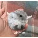 Límmiði