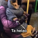 Límmiði