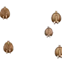 Figurinha