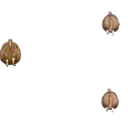 Figurinha
