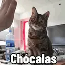Стикер
