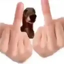 Figurinha