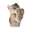 Figurinha