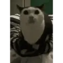 Figurinha