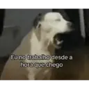 ملصق