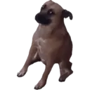 Límmiði