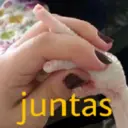 Figurinha