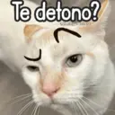 Figurinha