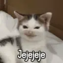 Figurinha
