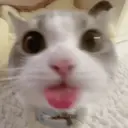 Figurinha