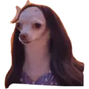 Figurinha