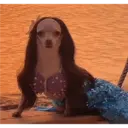 Figurinha