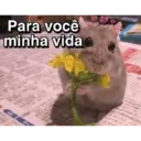 Figurinha