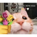 Figurinha