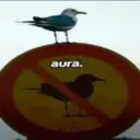 ਸਟਿਕਰ