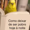 Figurinha