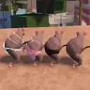 ملصق