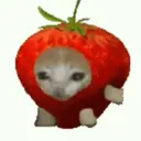 Figurinha