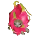 Figurinha