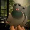 Samolepka