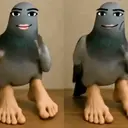 Samolepka