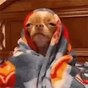 ملصق