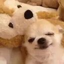 ملصق