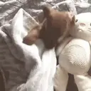 ملصق