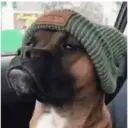 ملصق