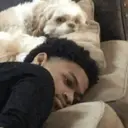 ملصق