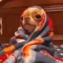 ملصق