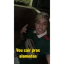 Samolepka